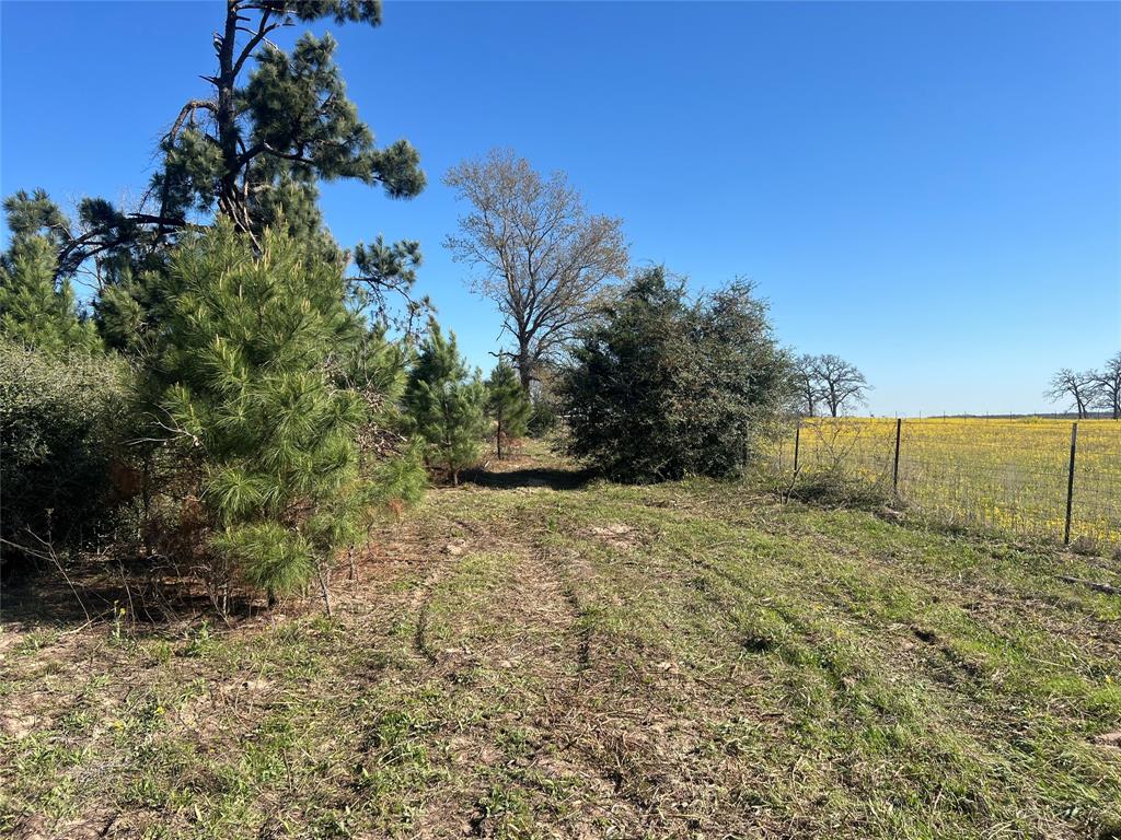 TBD Cr 322, Jewett, Texas image 9