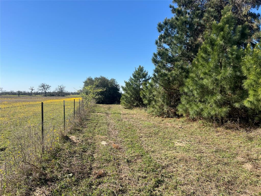 TBD Cr 322, Jewett, Texas image 10