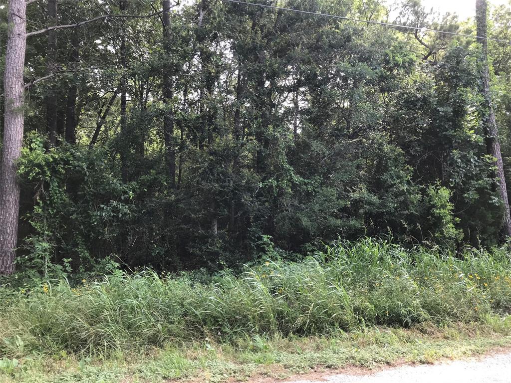 148 Brazil Boulevard, Huntsville, Texas image 3