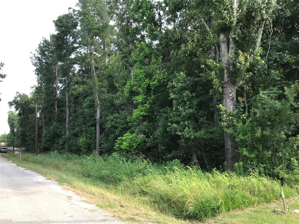 148 Brazil Boulevard, Huntsville, Texas image 5