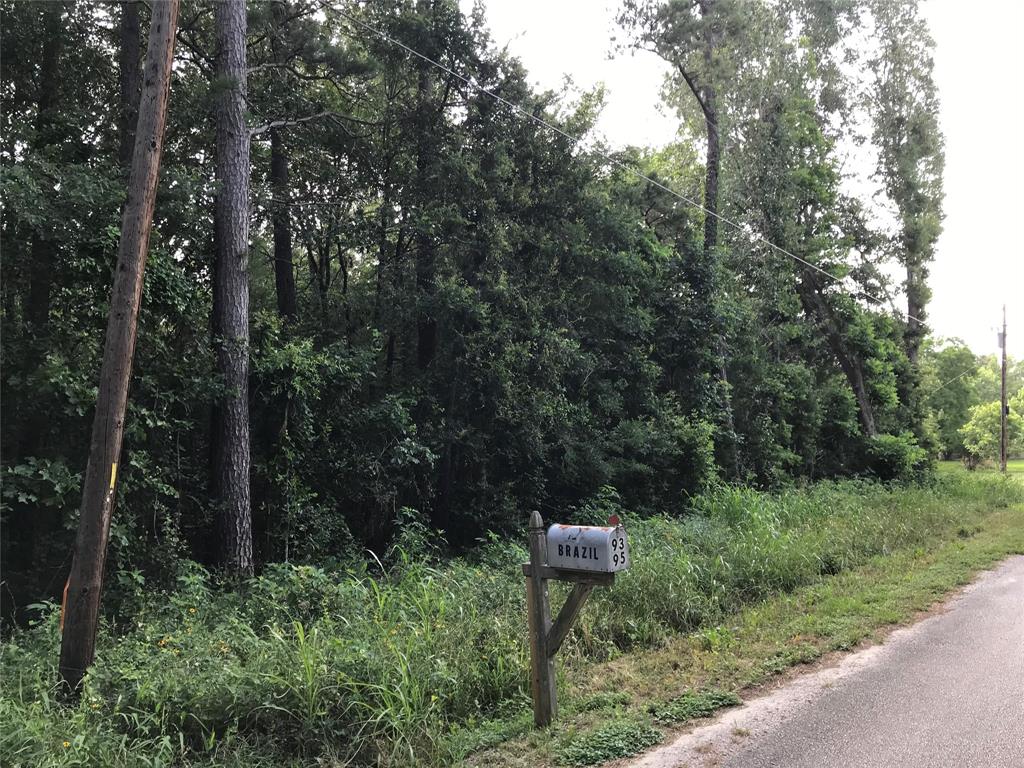 148 Brazil Boulevard, Huntsville, Texas image 6