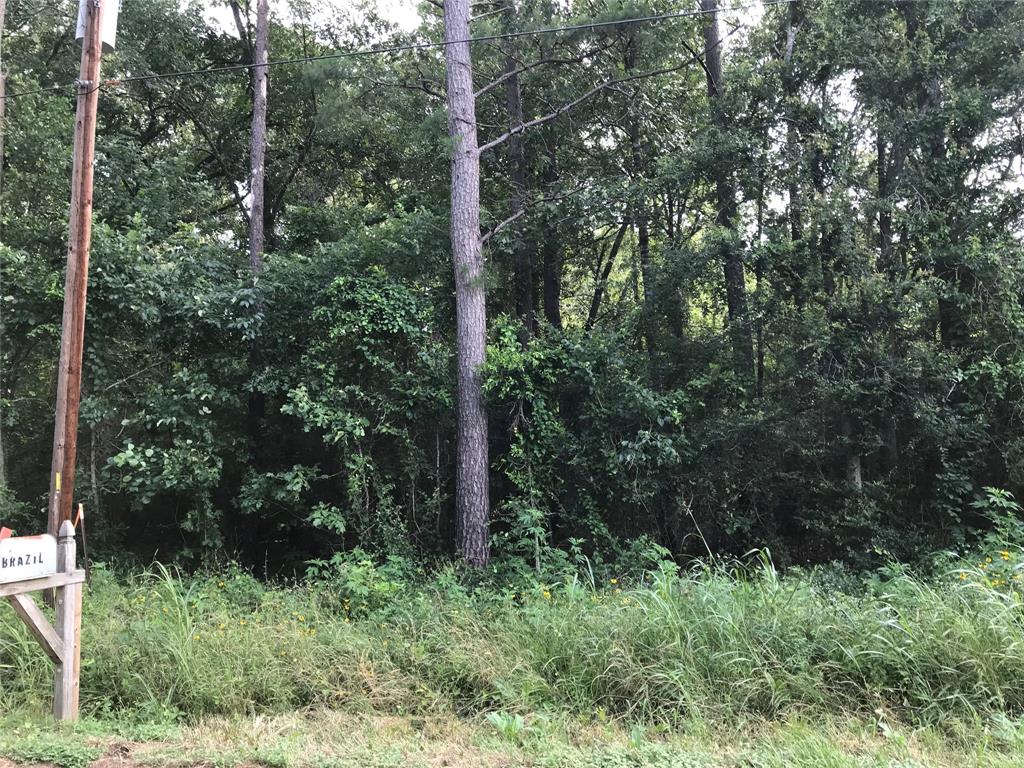 148 Brazil Boulevard, Huntsville, Texas image 2