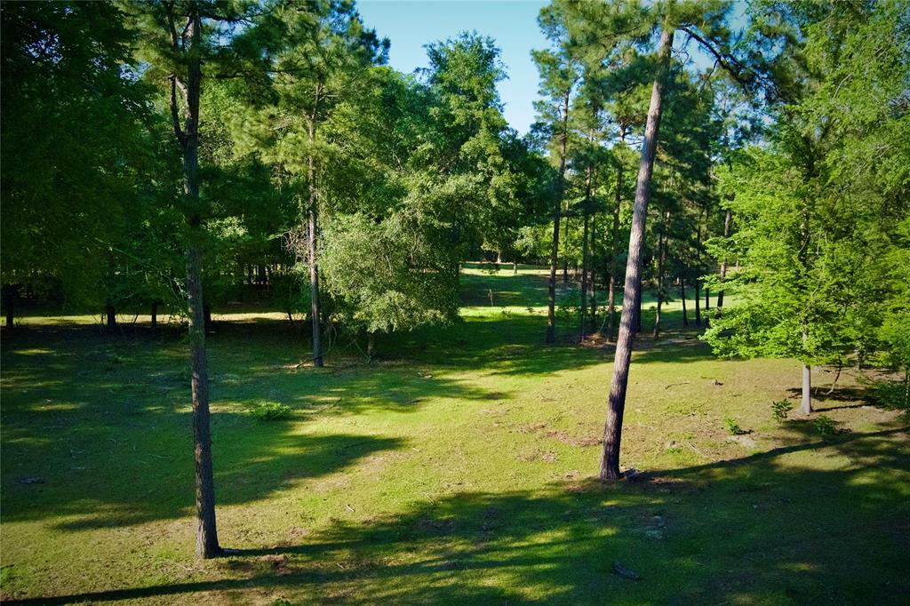 59 Beaconsfield Drive, Magnolia, Texas image 47