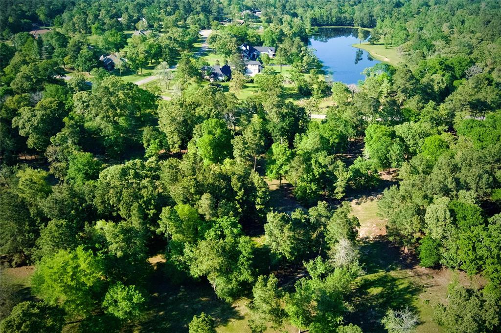 59 Beaconsfield Drive, Magnolia, Texas image 50