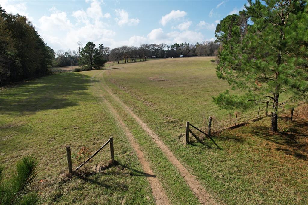 TBD County Rd 1585, Grapeland, Texas image 1