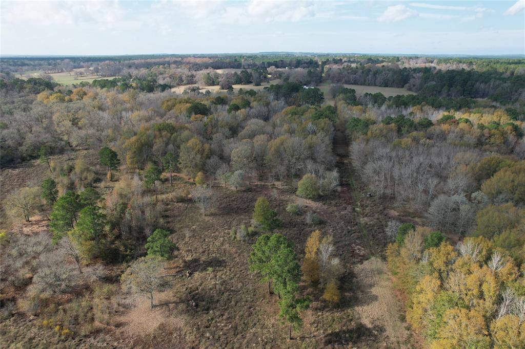 TBD County Rd 1585, Grapeland, Texas image 18