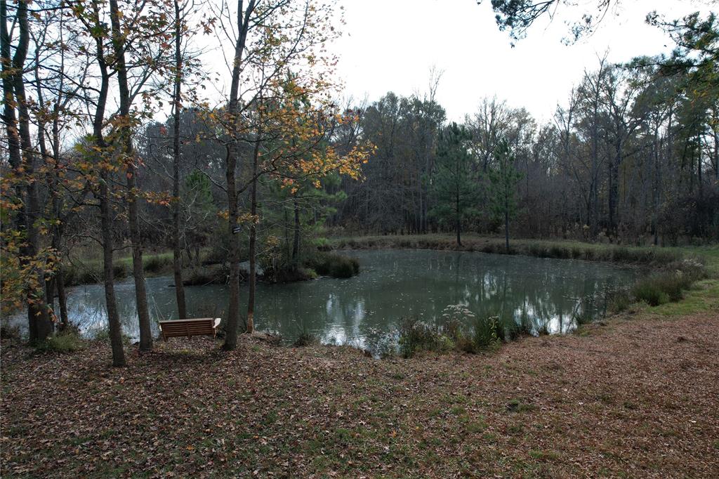 TBD County Rd 1585, Grapeland, Texas image 7