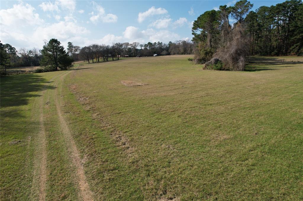 TBD County Rd 1585, Grapeland, Texas image 3