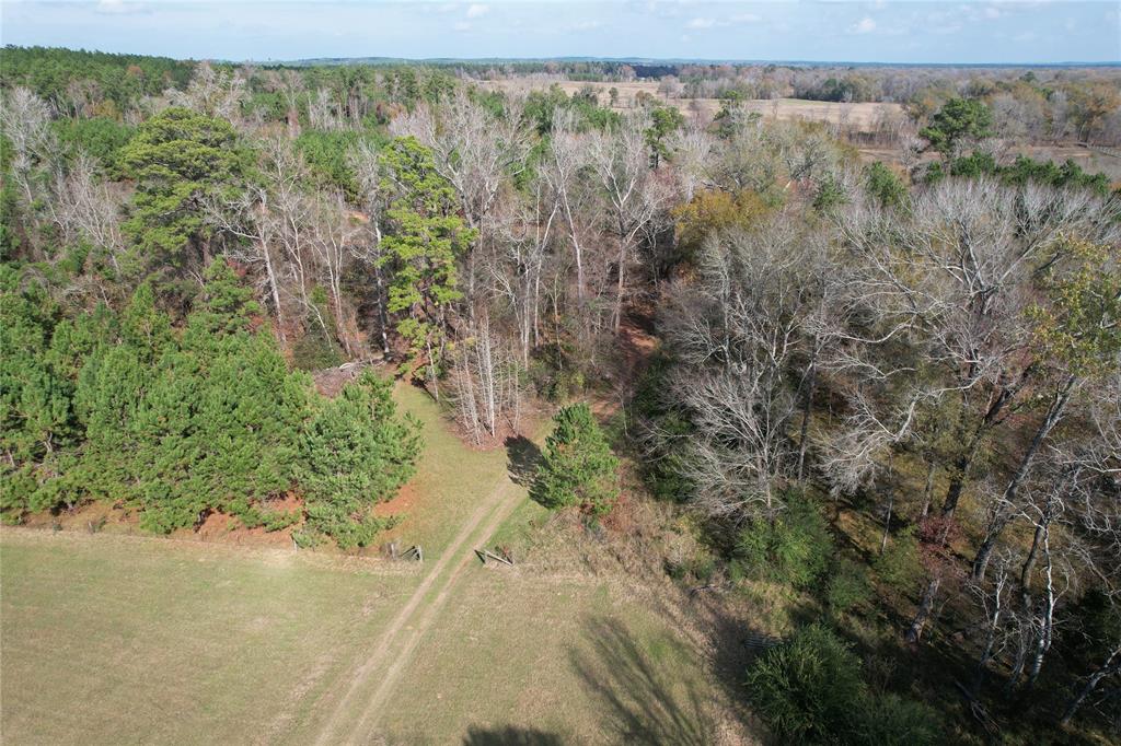 TBD County Rd 1585, Grapeland, Texas image 21