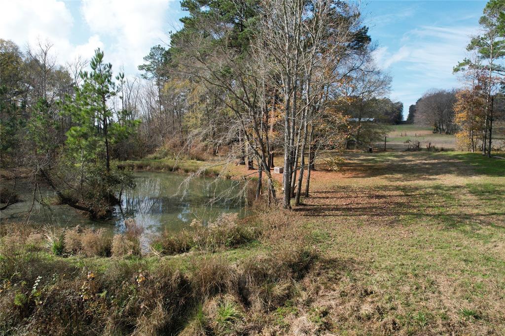 TBD County Rd 1585, Grapeland, Texas image 9