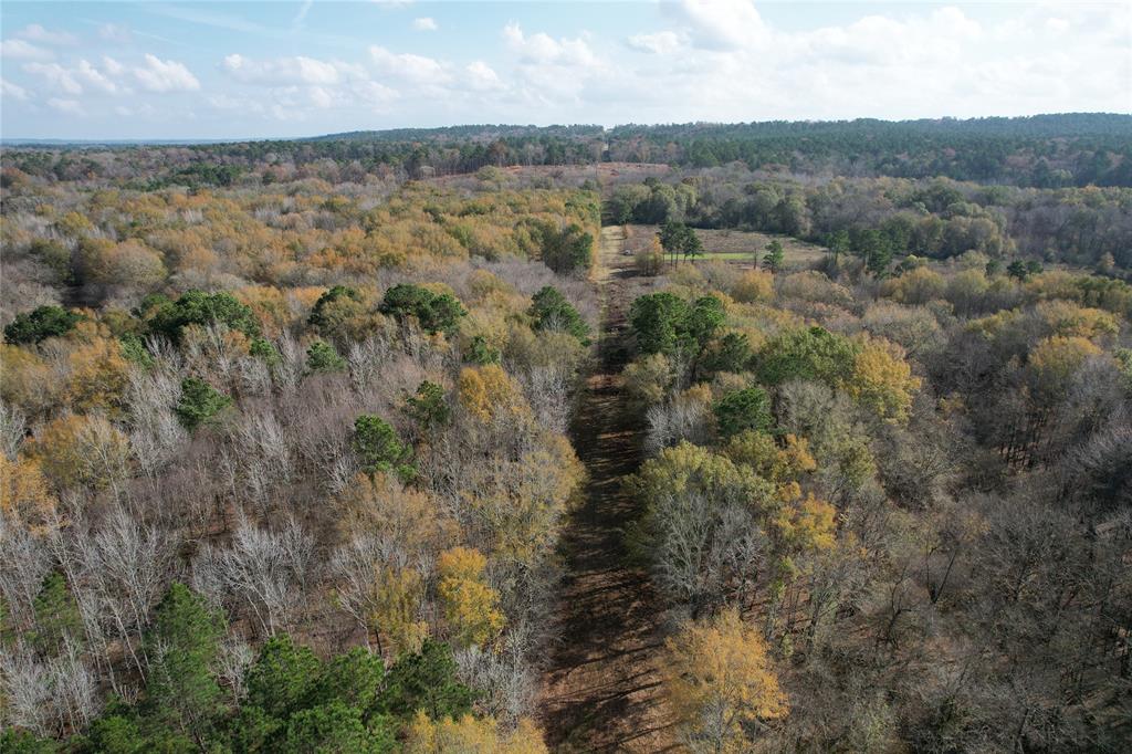 TBD County Rd 1585, Grapeland, Texas image 11