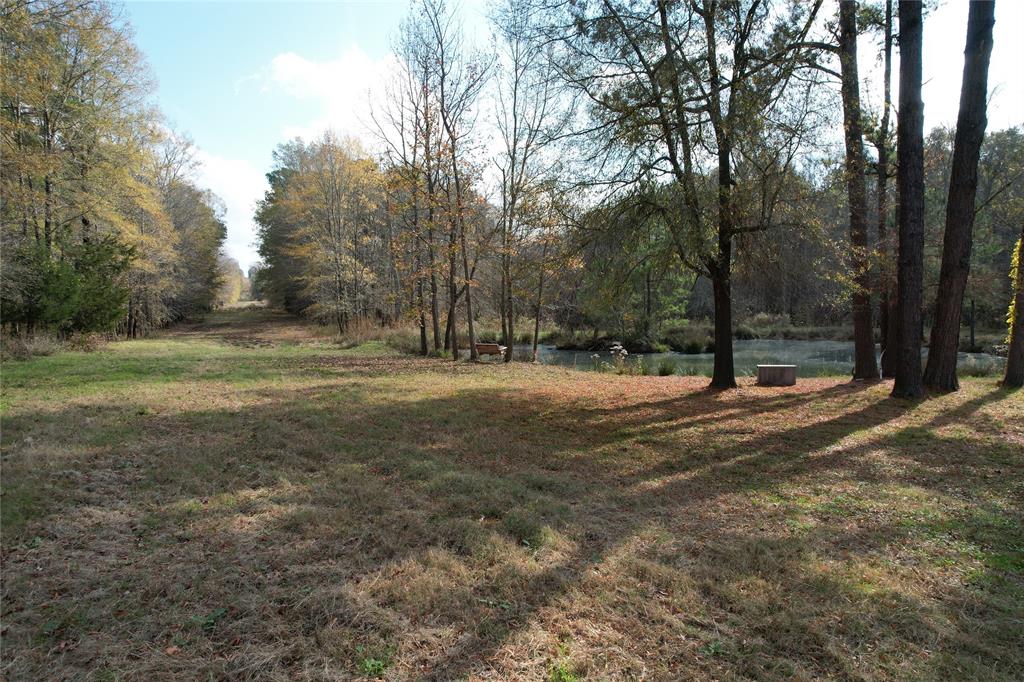 TBD County Rd 1585, Grapeland, Texas image 10