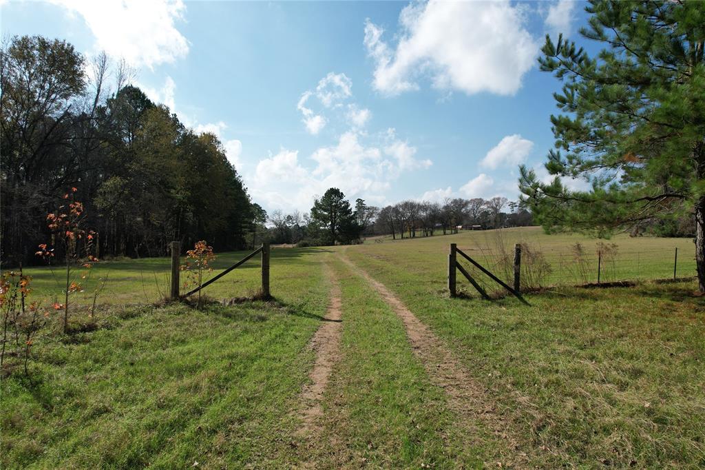 TBD County Rd 1585, Grapeland, Texas image 2