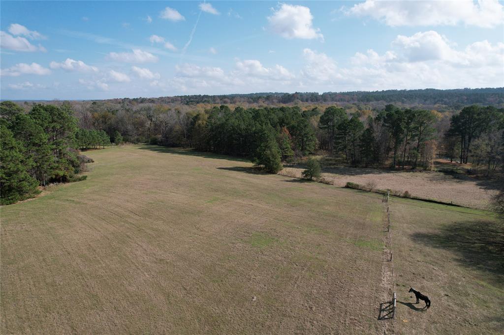 TBD County Rd 1585, Grapeland, Texas image 5