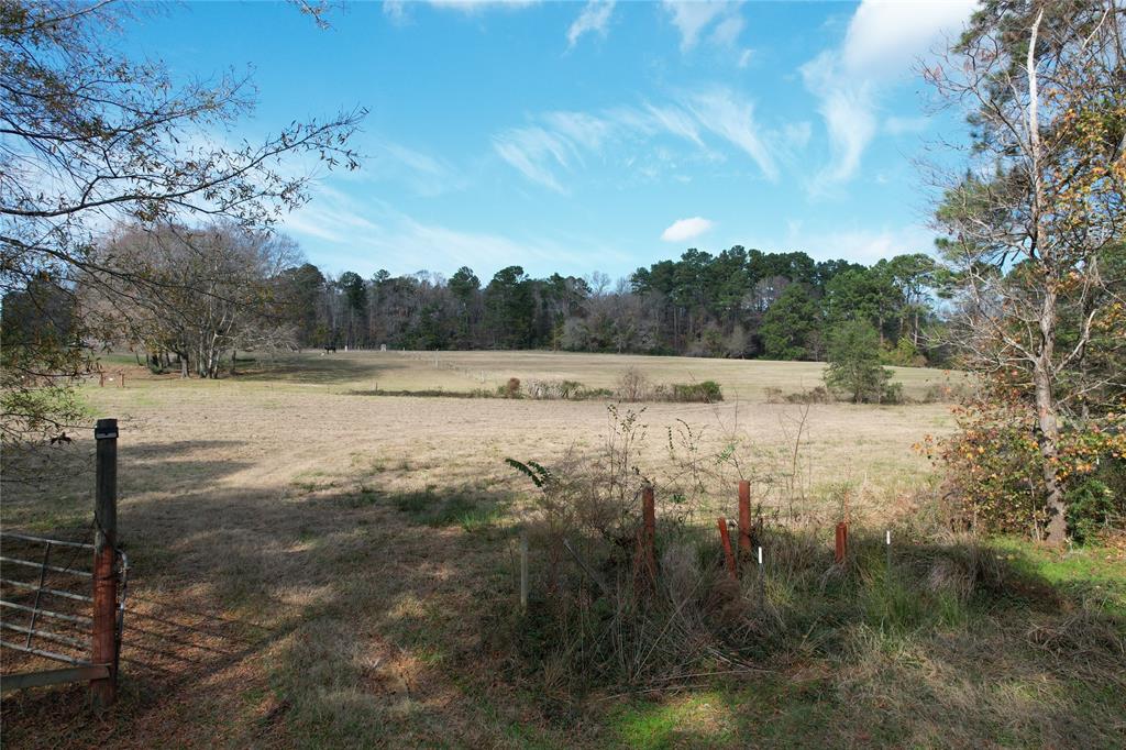 TBD County Rd 1585, Grapeland, Texas image 14