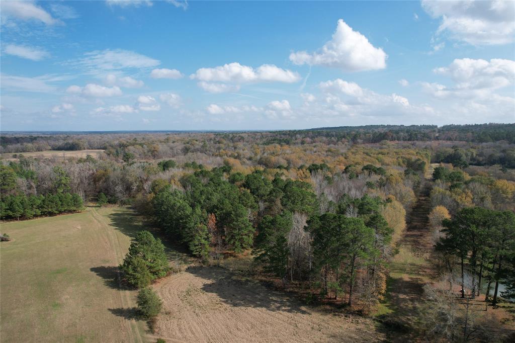 TBD County Rd 1585, Grapeland, Texas image 17