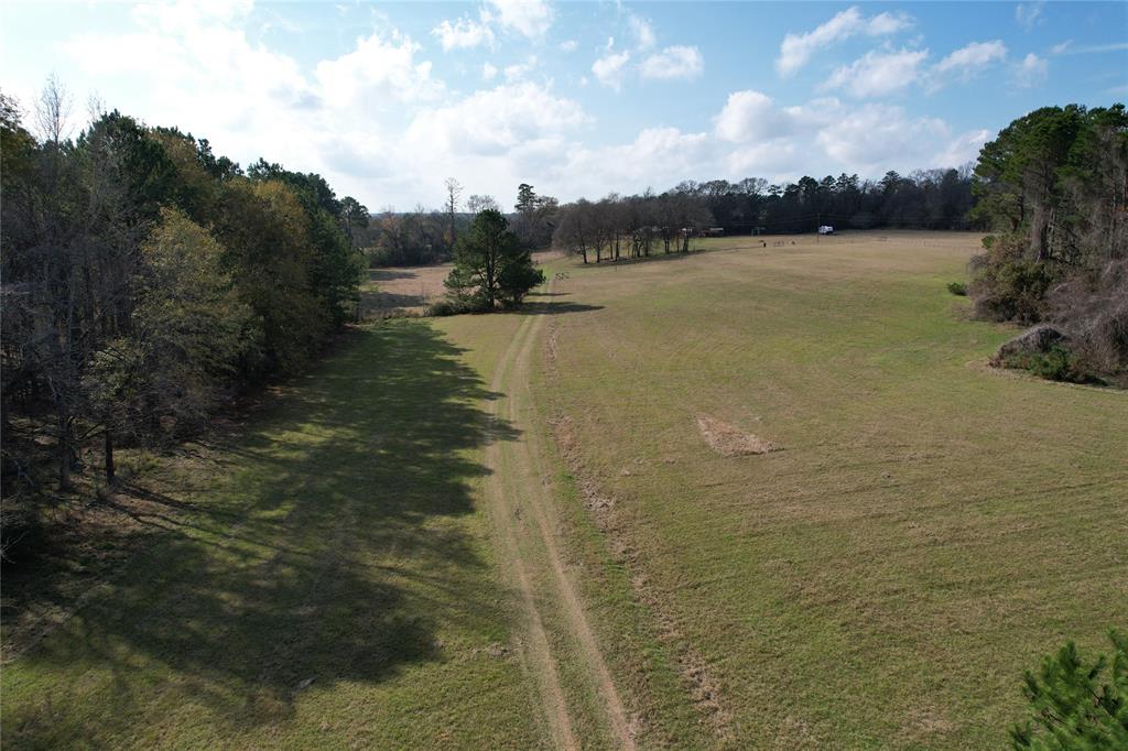 TBD County Rd 1585, Grapeland, Texas image 4