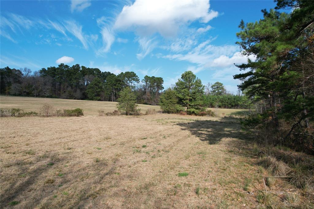 TBD County Rd 1585, Grapeland, Texas image 15