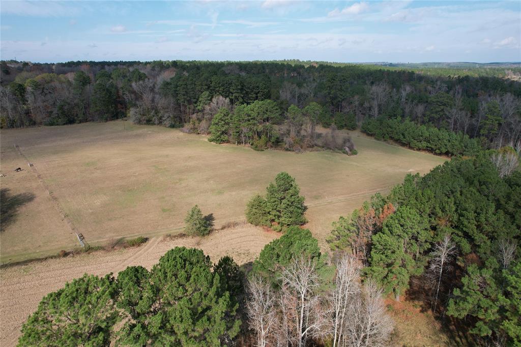 TBD County Rd 1585, Grapeland, Texas image 12