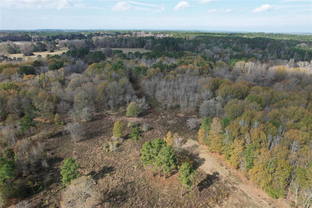 TBD County Rd 1585, Grapeland, Texas image 19