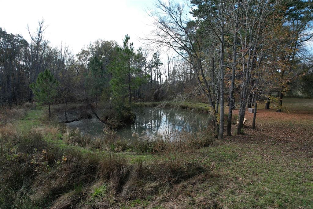 TBD County Rd 1585, Grapeland, Texas image 8