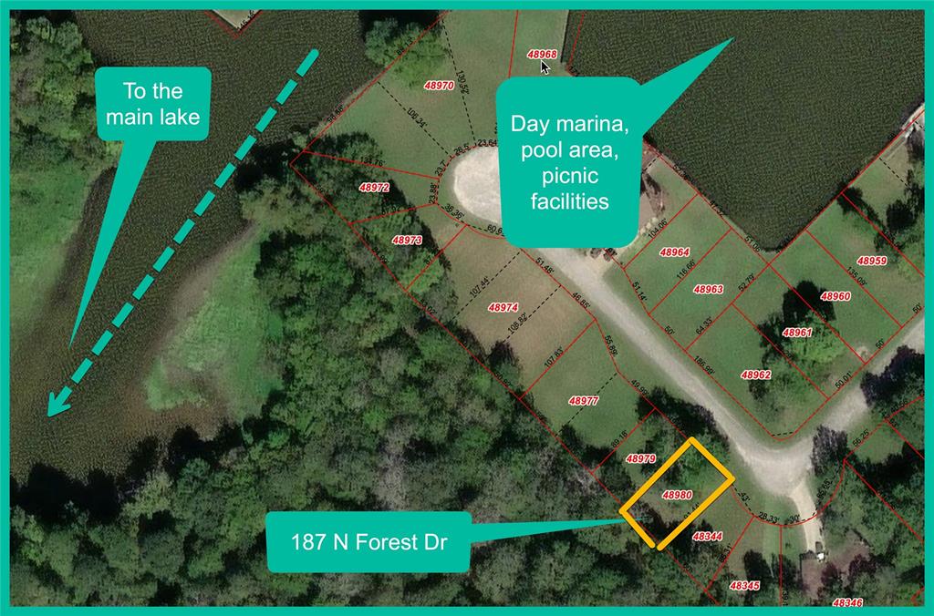 187 N Forest Drive, Huntsville, Texas image 2