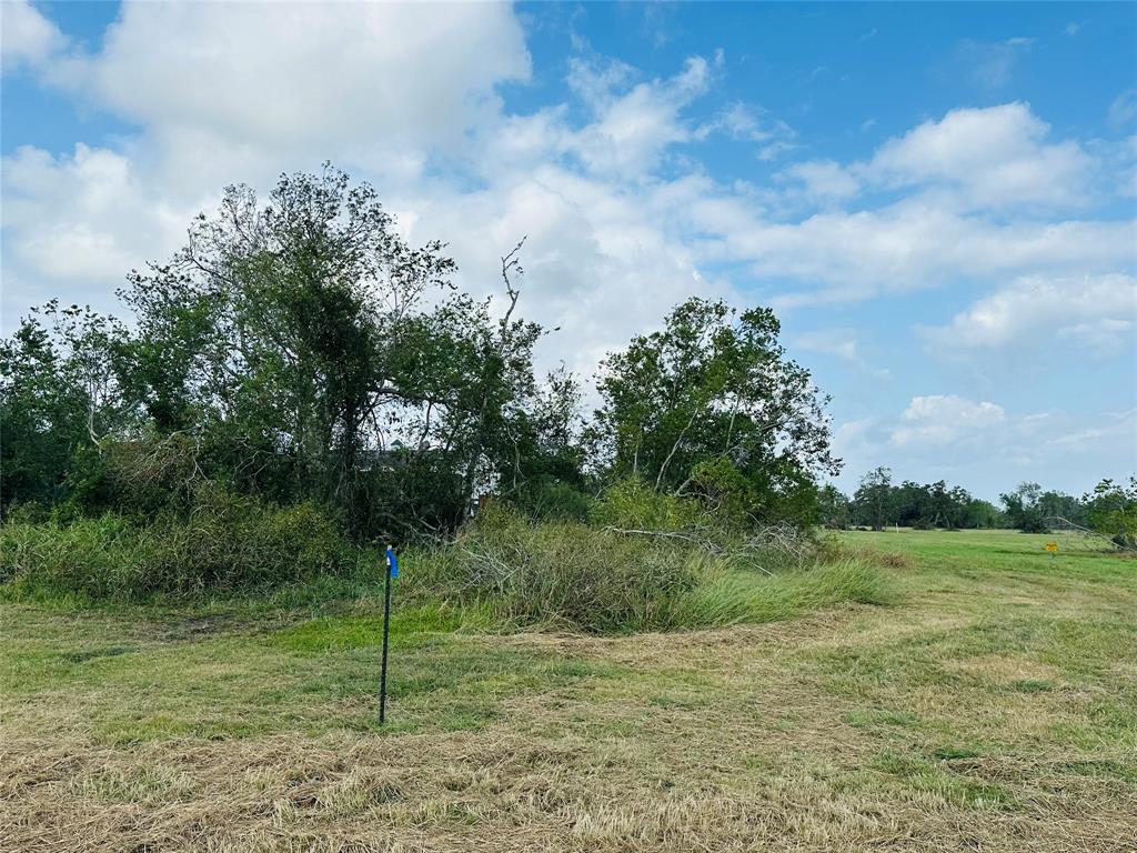 101 Trailblazer Drive, Angleton, Texas image 3