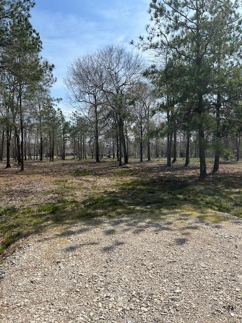 21240 Grant Lake Circle, Cleveland, Texas image 16