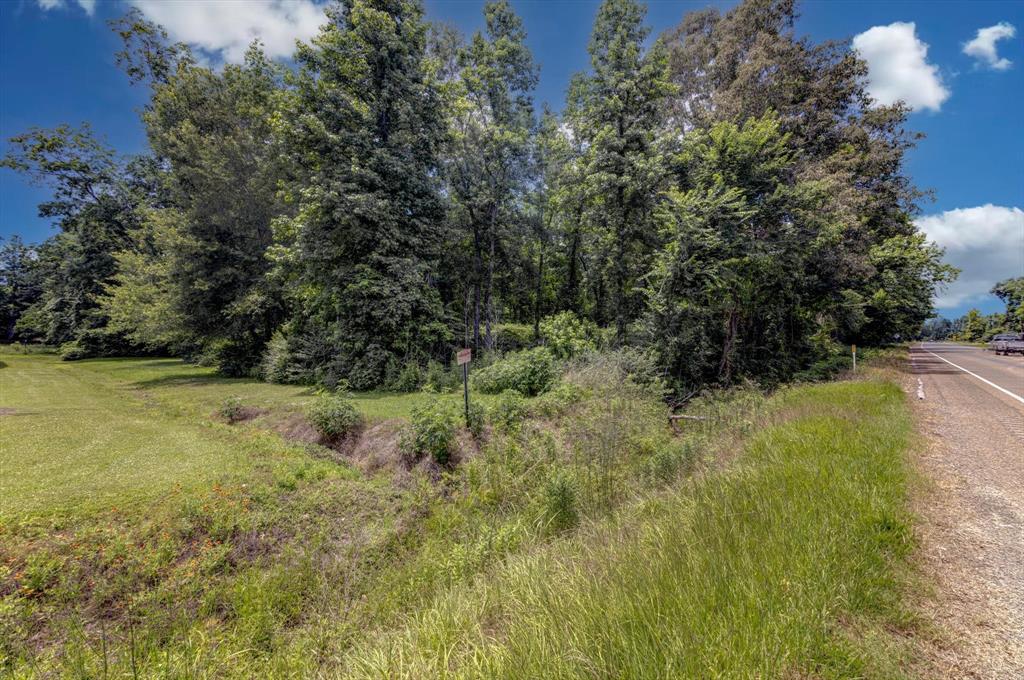 00 S Fm 770, Batson, Texas image 31