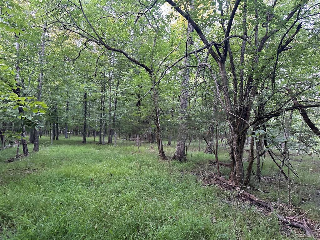 6900 Fm 909, Clarksville, Texas image 48