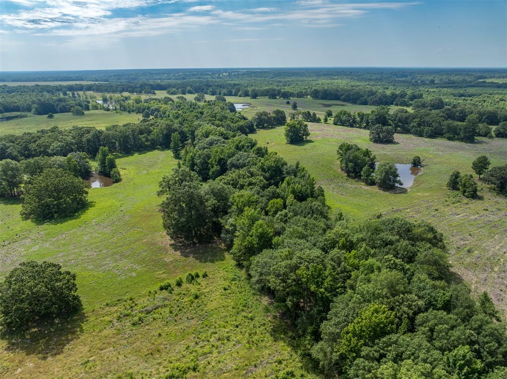 6900 Fm 909, Clarksville, Texas image 40