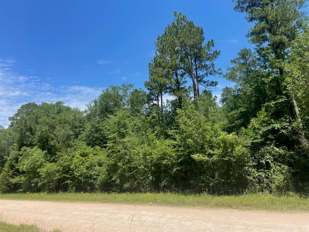 10 +/- Lessa Lane, Huntsville, Texas image 1