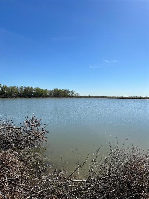 00 Lot 52/53w Bijou Rue, Rosharon, Texas image 13