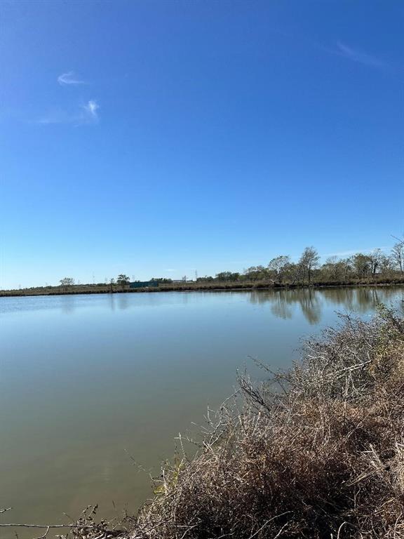 00 Lot 52/53w Bijou Rue, Rosharon, Texas image 12