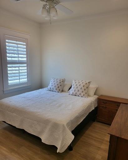 737 Shiraz Passage Psge, Galveston, Texas image 15