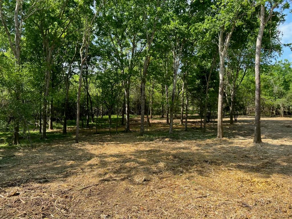 TBD Winding Branch Lot 40, Chappell Hill, Texas image 5