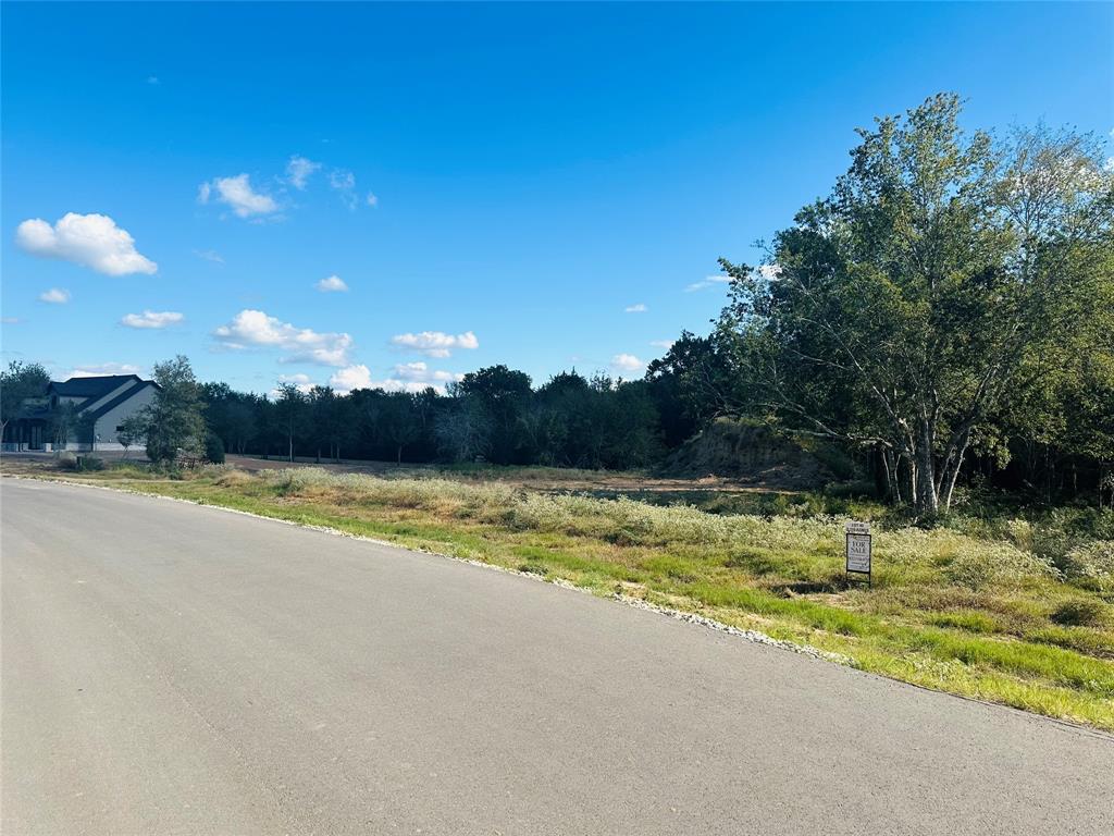 TBD Winding Branch Lot 40, Chappell Hill, Texas image 9