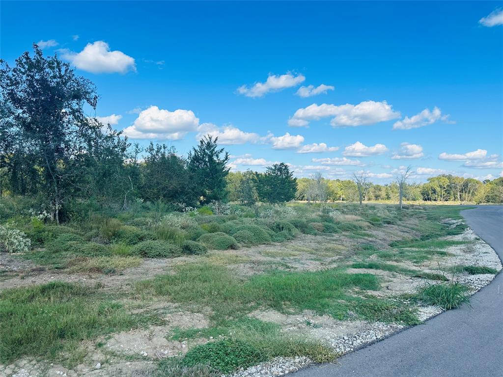 TBD Winding Branch Lot 40, Chappell Hill, Texas image 13