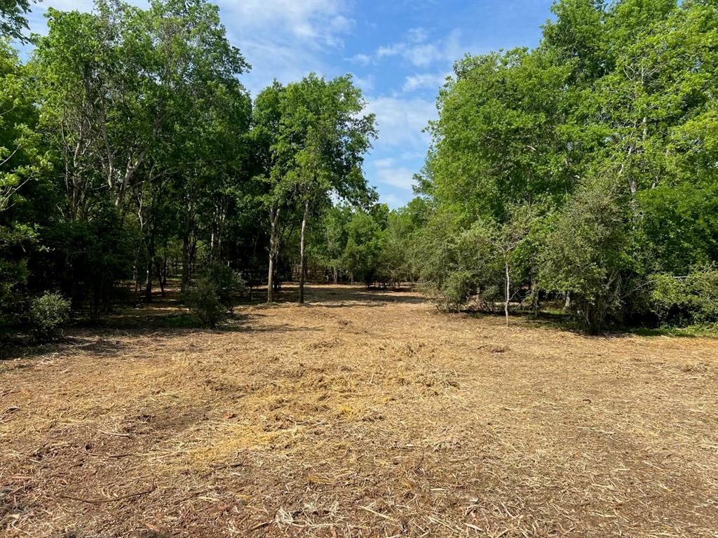 TBD Winding Branch Lot 40, Chappell Hill, Texas image 6