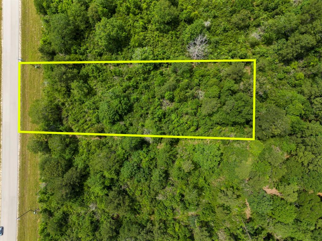 110 Coyote Run, New Waverly, Texas image 15