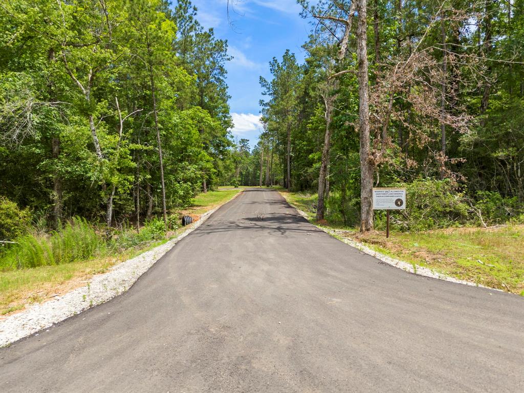 110 Coyote Run, New Waverly, Texas image 3