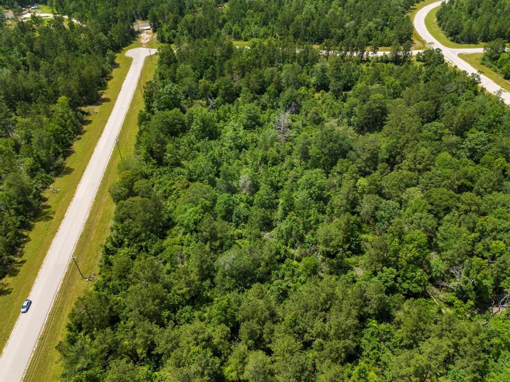 110 Coyote Run, New Waverly, Texas image 24