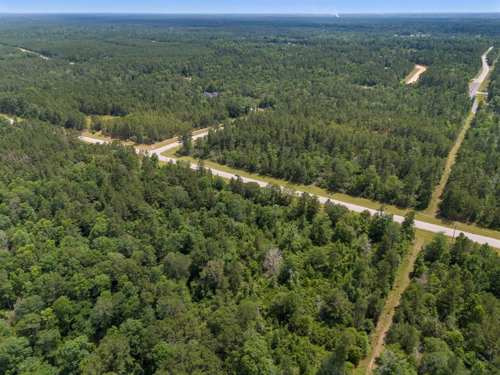 110 Coyote Run, New Waverly, Texas image 27