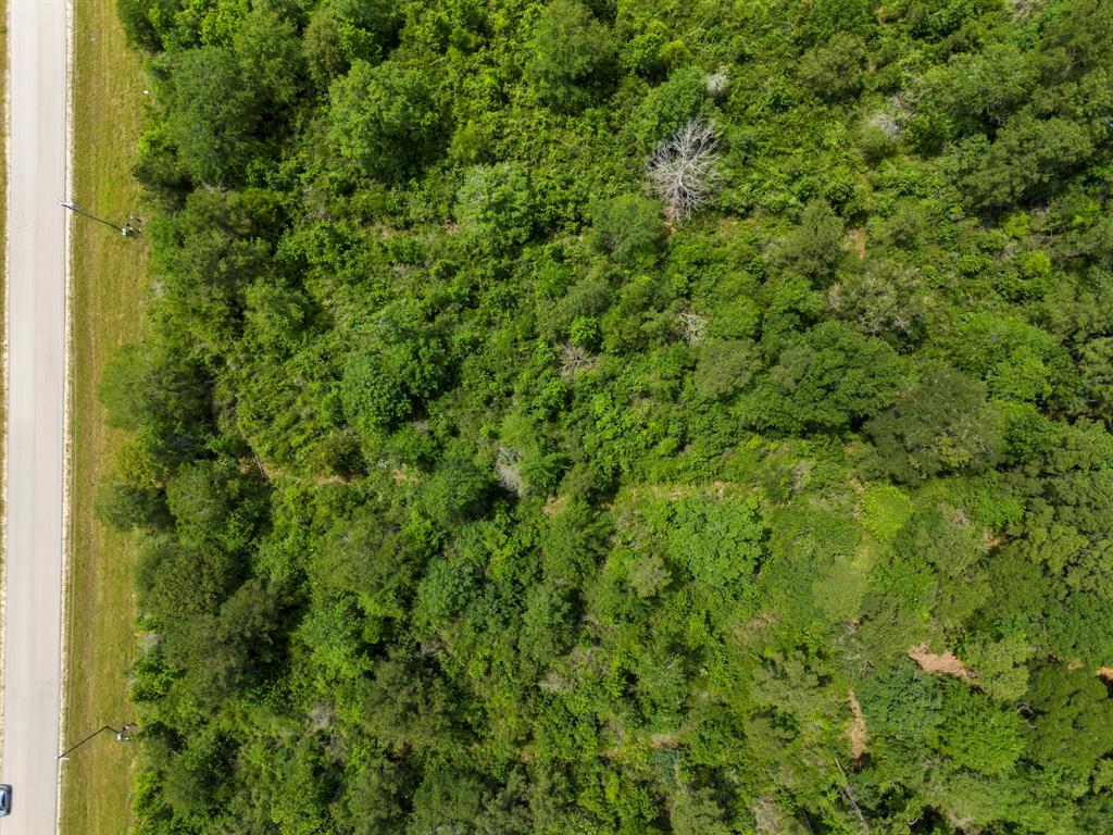 110 Coyote Run, New Waverly, Texas image 23