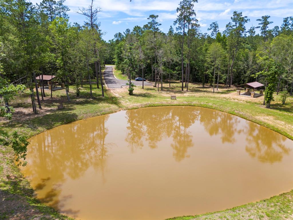 110 Coyote Run, New Waverly, Texas image 12