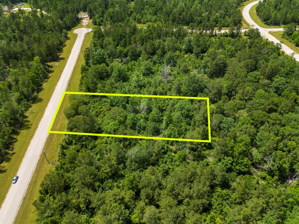 110 Coyote Run, New Waverly, Texas image 14