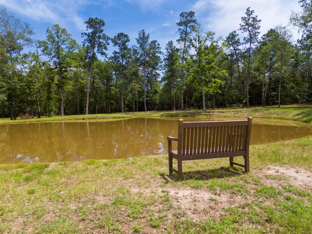110 Coyote Run, New Waverly, Texas image 6