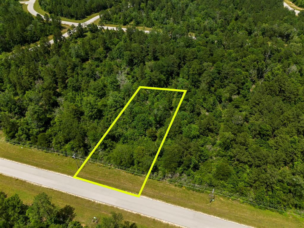 110 Coyote Run, New Waverly, Texas image 13