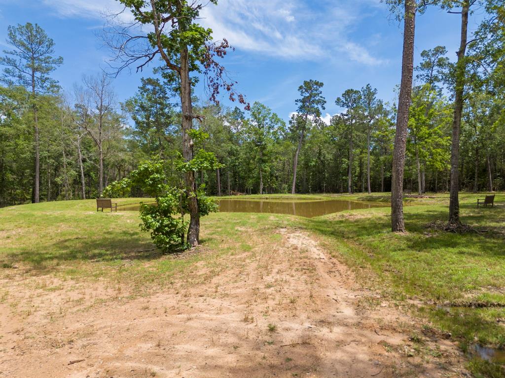 110 Coyote Run, New Waverly, Texas image 5
