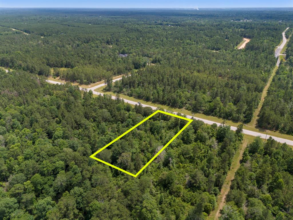 110 Coyote Run, New Waverly, Texas image 19